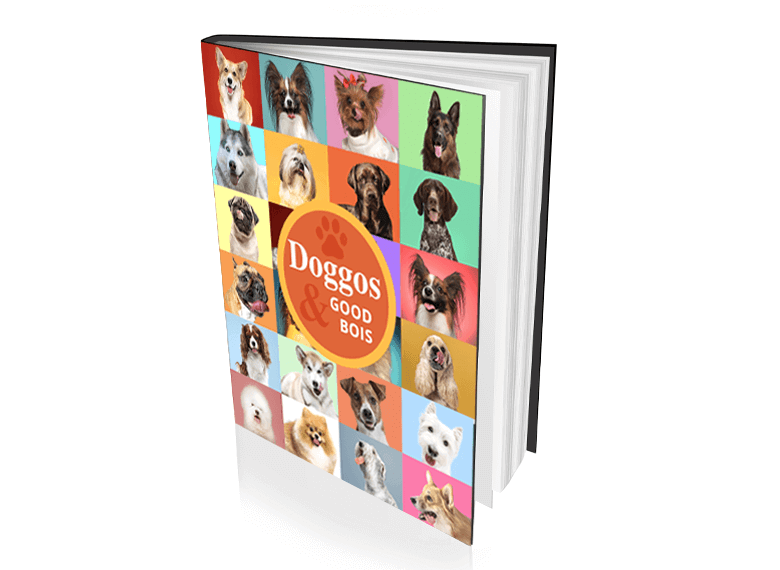 Professional Book Cover Design