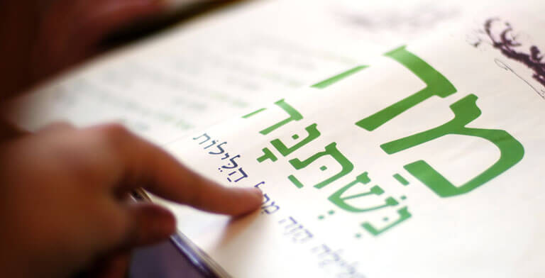 A Haggadah book for kids