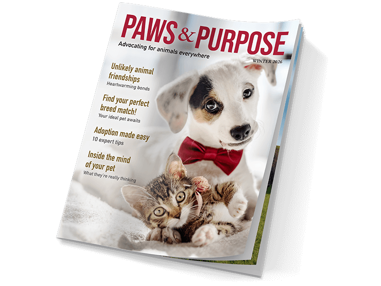 Paws & Purpose magazine printed by OnPress