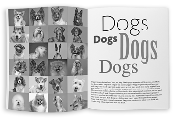 Black & white interior text & image printing