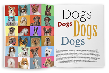 Full color interior text & image printing